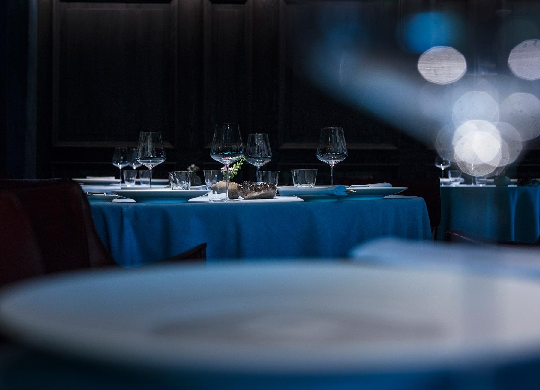 Albert 1er — Damien Leveau photo 2