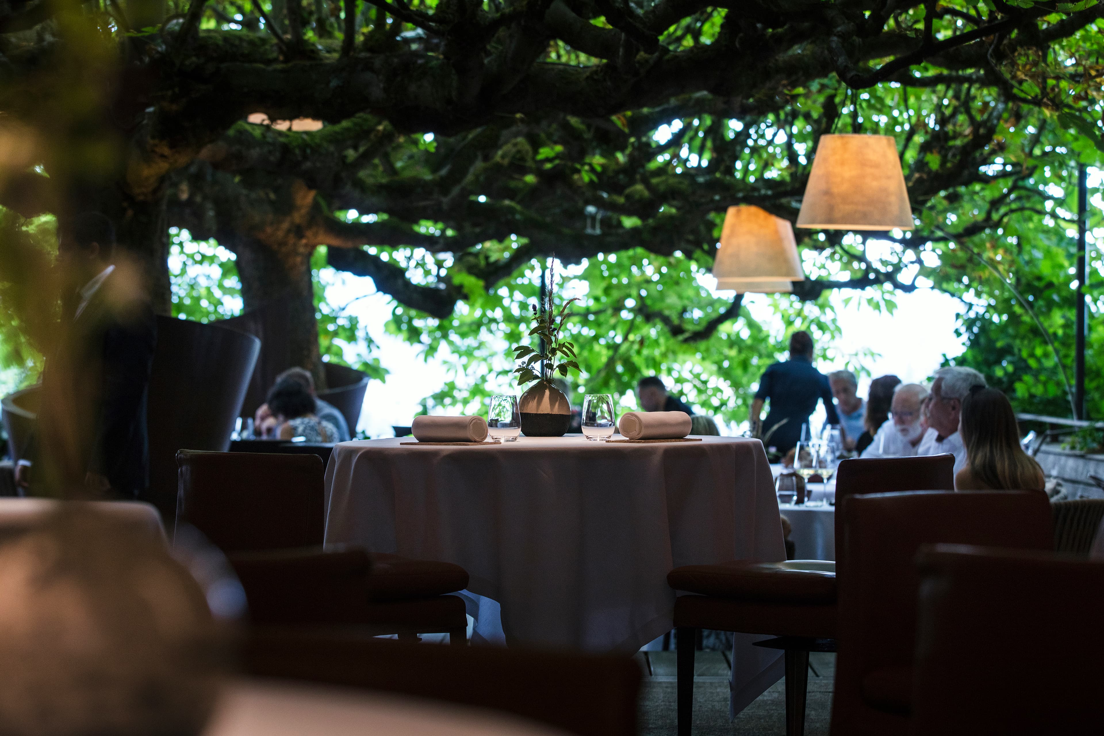 Le Clos des Sens