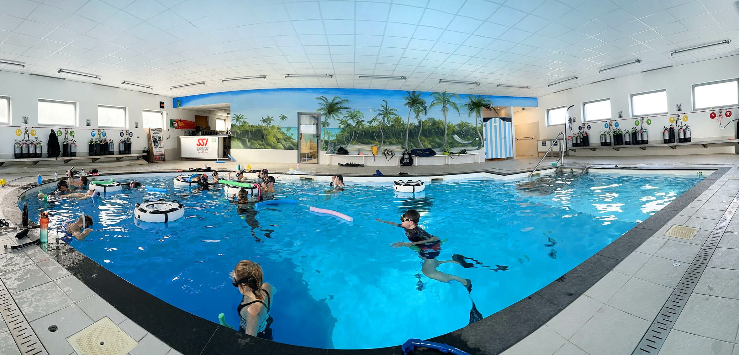 NEMO 33